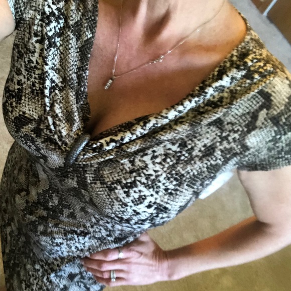 Animal Print Dress - Dana Buchman - Picture 9 of 11